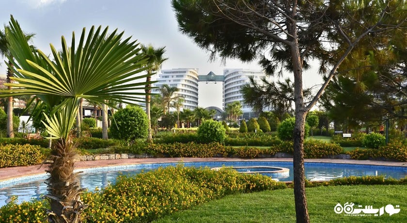 محوطه فضای سبز  هتل میراکل 